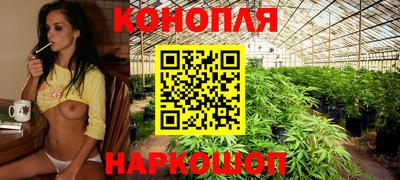 дмт Кимры