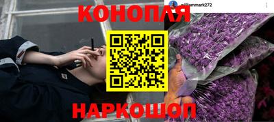 дмт Кимры