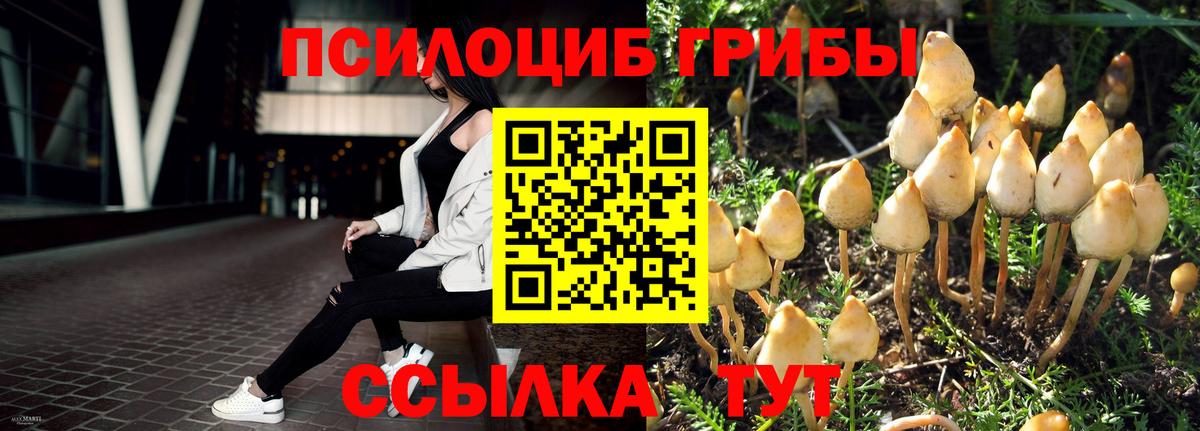 Костомукша  Галлюциногенные грибы мицелий  Вход с VPN 